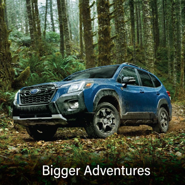 A blue Subaru outback wilderness with the words “Bigger Adventures“. | Subaru Superstore of Chandler in Chandler AZ